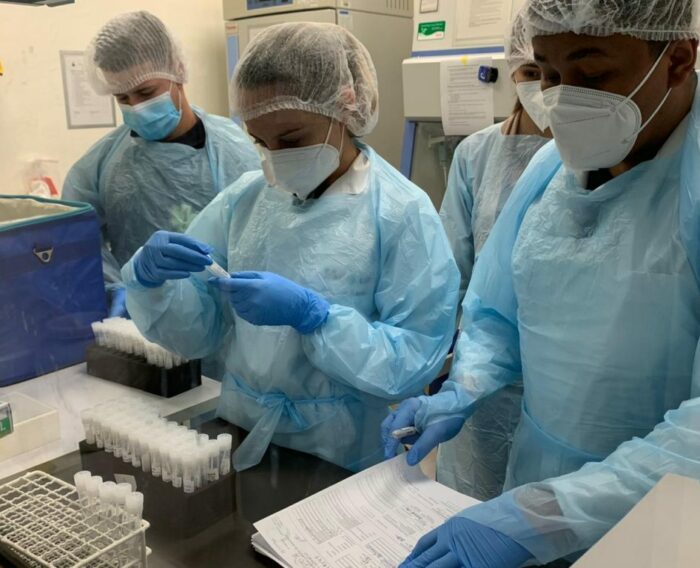 Pruebas PCR